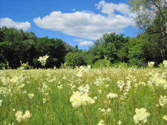 Similar image 1497354