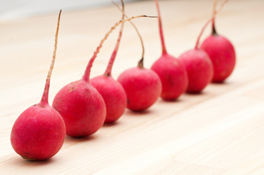 Similar image 1497360