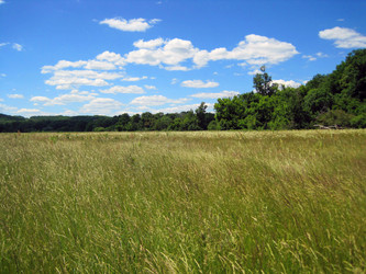 Similar image 1497396