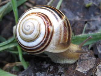 Similar image 1497398