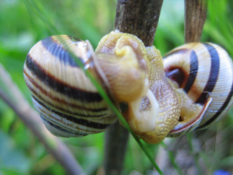 Similar image 1497399