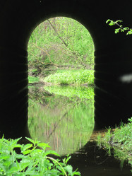 Similar image 1497400