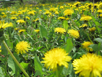 Similar image 1497419