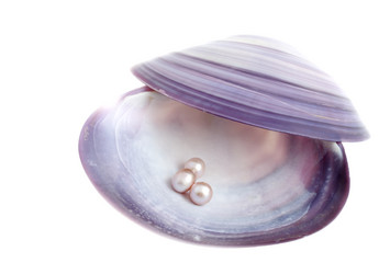 Similar image 1497429