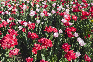 Similar image 1497435