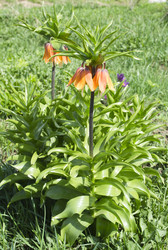 Similar image 1497436