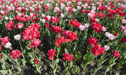 Similar image 1497437