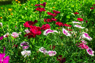 Similar image 1497444