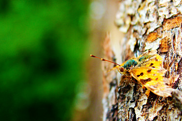 Similar image 1497450