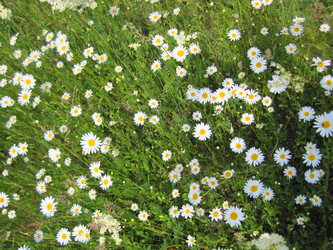 Similar image 1497458