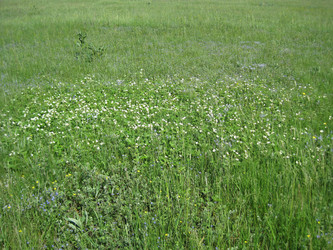 Similar image 1497459