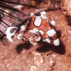 Similar image 1497481