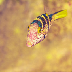 Similar image 1497482