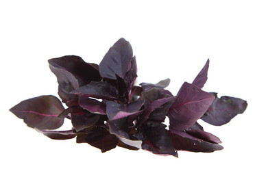 Similar image 1497501