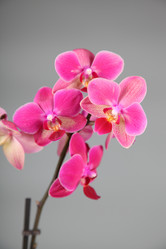 Similar image 1497503