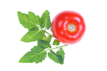 Similar image 1497507