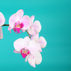 Similar image 1497509