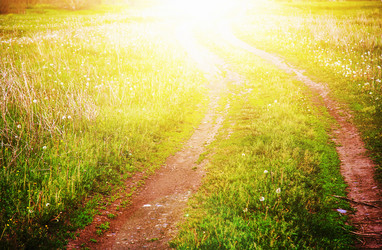 Similar image 1497519