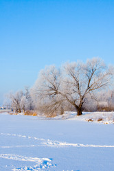 Similar image 1497529