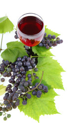 Similar image 1497539