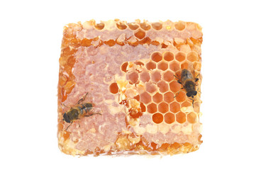 Similar image 1497540