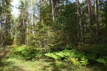 Similar image 1497541