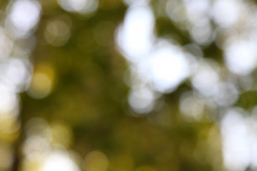 Similar image 1497542