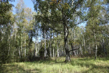 Similar image 1497544