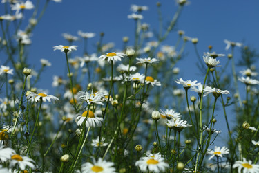 Similar image 1497547