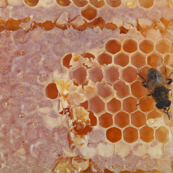 Similar image 1497548