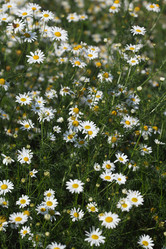 Similar image 1497549