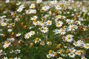 Similar image 1497551