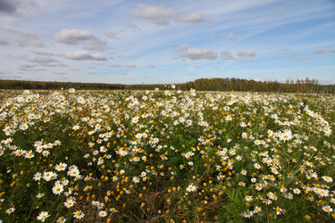 Similar image 1497558