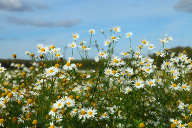 Similar image 1497559