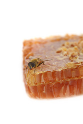 Similar image 1497560