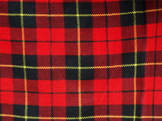 Similar image 1497578