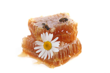 Similar image 1497581