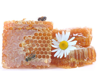 Similar image 1497582