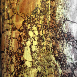 Similar image 1497588