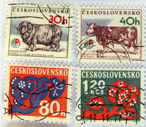 Similar image 1497635