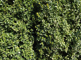 Similar image 1497684