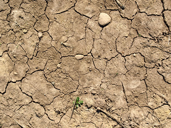 Similar image 1497699