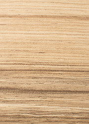 Similar image 1497821