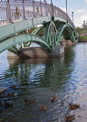 Similar image 1497873