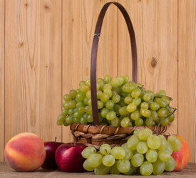 Similar image 1497884