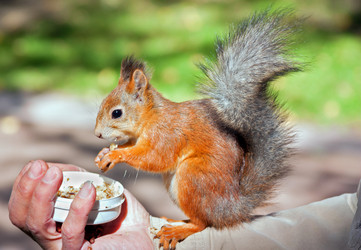 Similar image 1497895