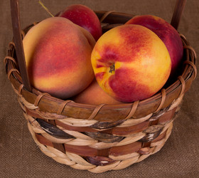 Similar image 1497905