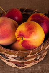 Similar image 1497906