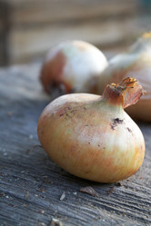 Similar image 1498016