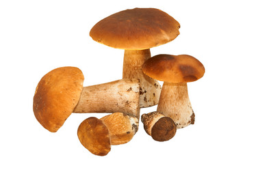 Similar image 1498018